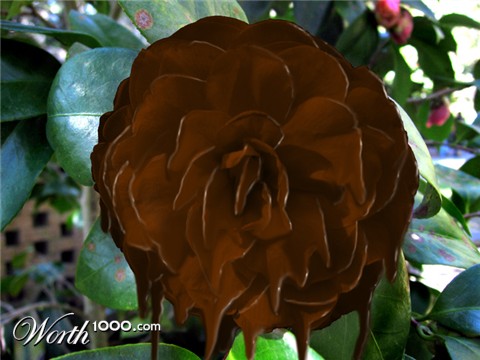 Photoshop Design by boudeccea