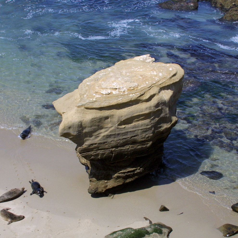 Photography by mhcork for DesignCrowd (Community Contests) | Design #9012178