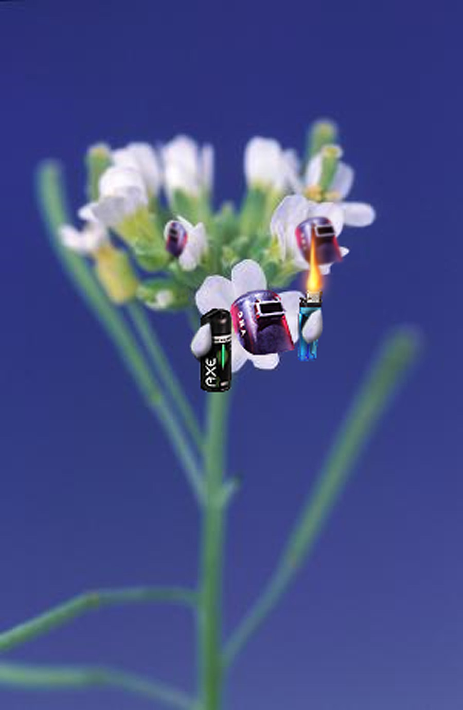 Photoshop-Design von Krestan für DesignCrowd (Community Contests) | Design #9008535