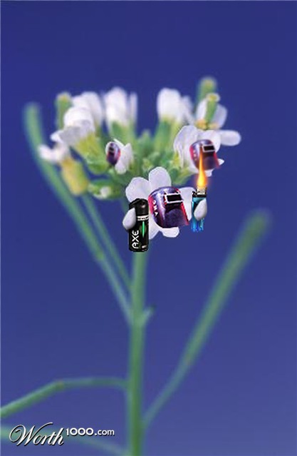 Photoshop Design by Krestan