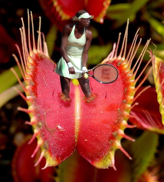 Design Photoshop par HugoFisher pour DesignCrowd (Community Contests) | Design #9008550