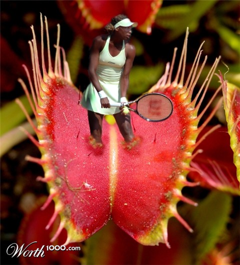 Photoshop Design by HugoFisher