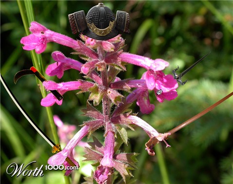 Photoshop Design by pmetzga