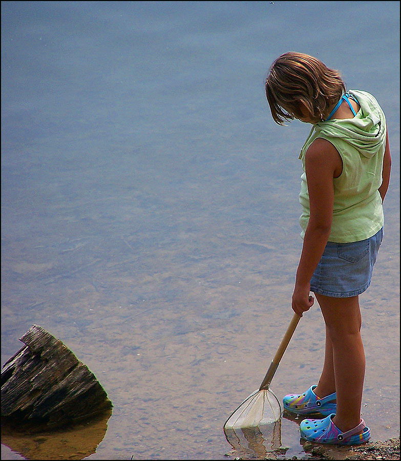 Photography by Hickster81 for DesignCrowd (Community Contests) | Design #9011981