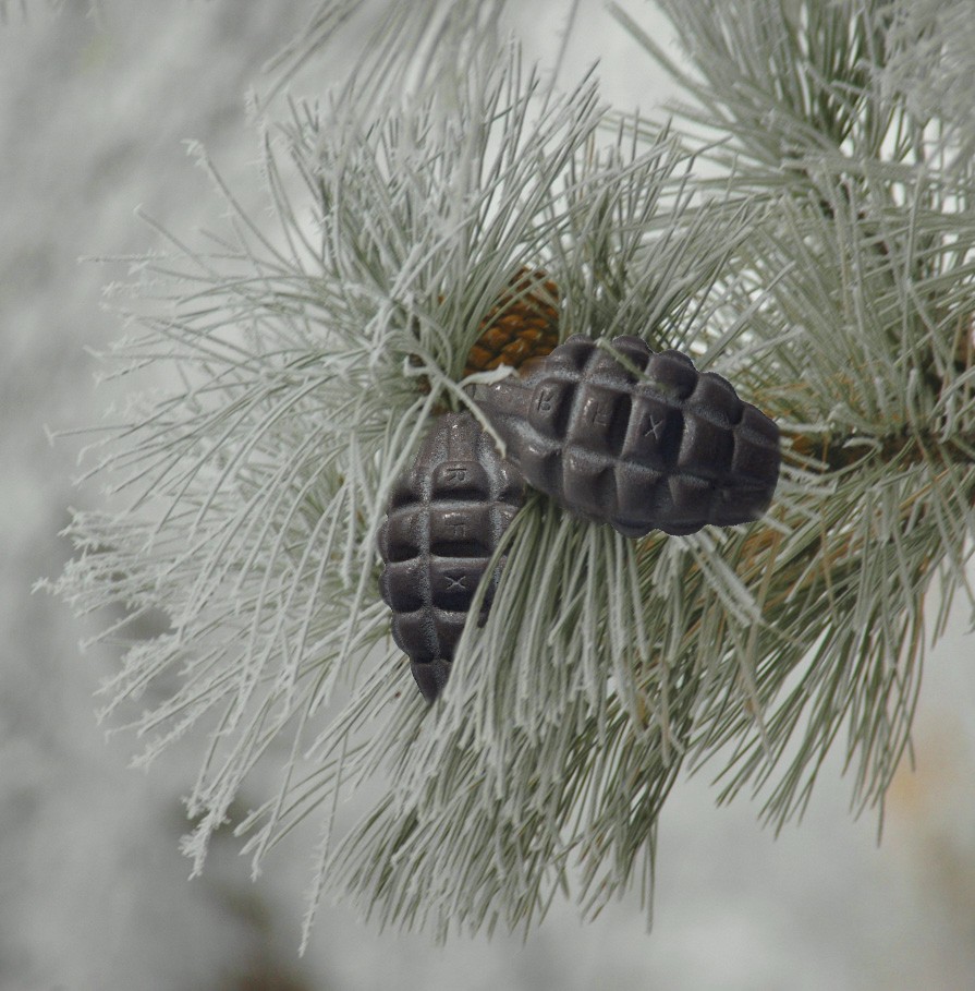 Diseño de Photoshop por Fishwife para DesignCrowd (Community Contests) | Diseño #9008559