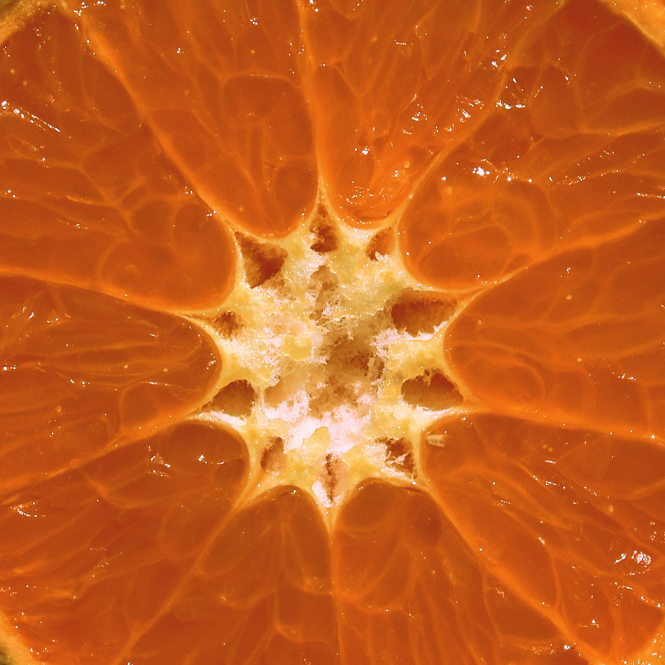 Photographie par Massie pour DesignCrowd (Community Contests) | Design #9012106