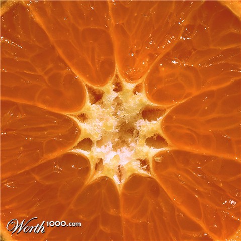 Photography by Massie