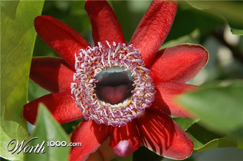 Photoshop Design by cirocco