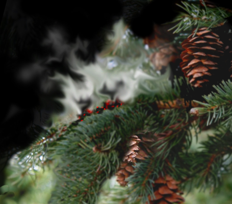 Design Photoshop par silviaele pour DesignCrowd (Community Contests) | Design #9013080