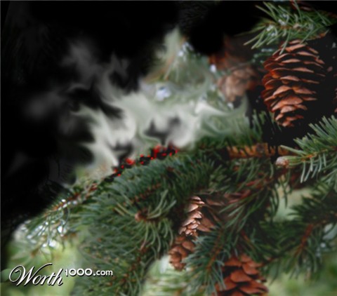 Photoshop Design by silviaele