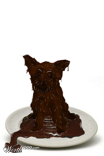 Photoshop Design by kooskoodiroo