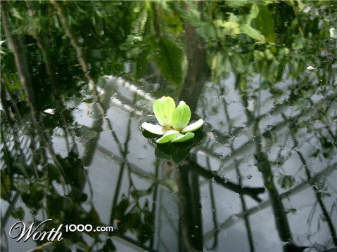 Photography by kelaltieri