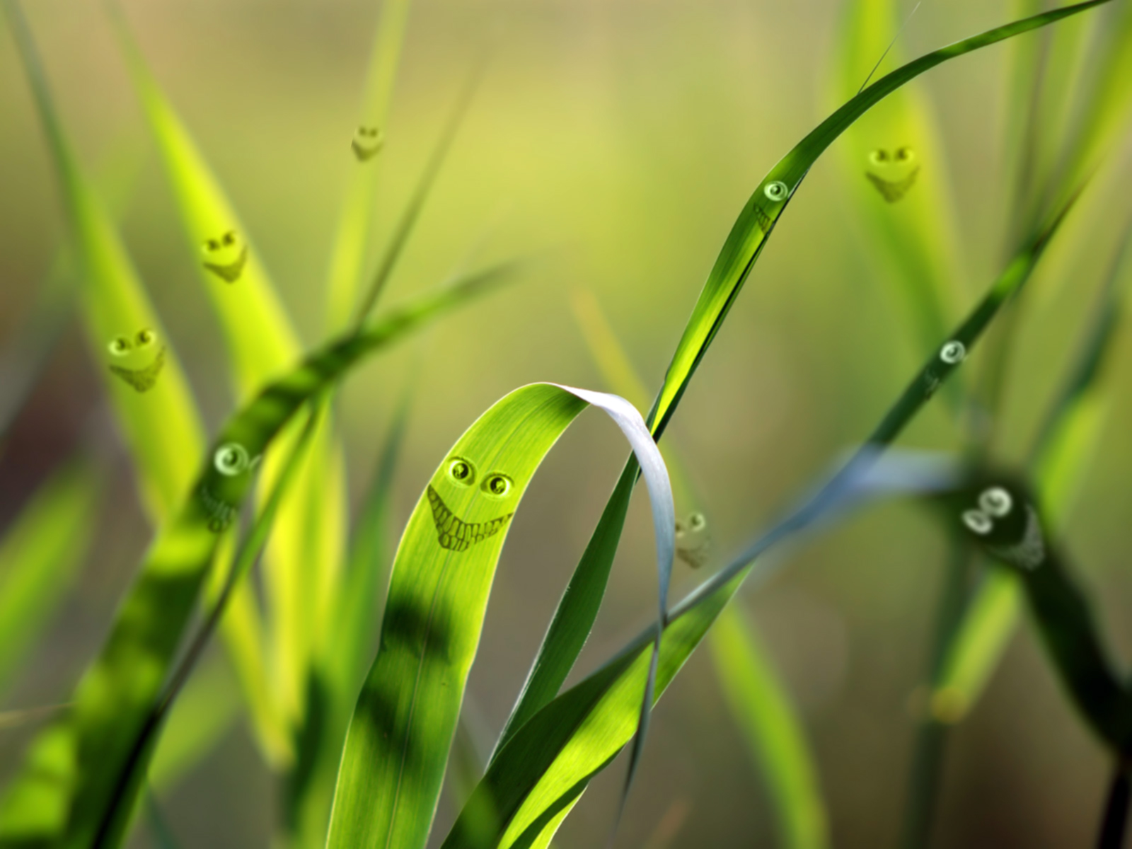 Photoshop Design by IzzIsHOr for DesignCrowd (Community Contests) | Design #9008560