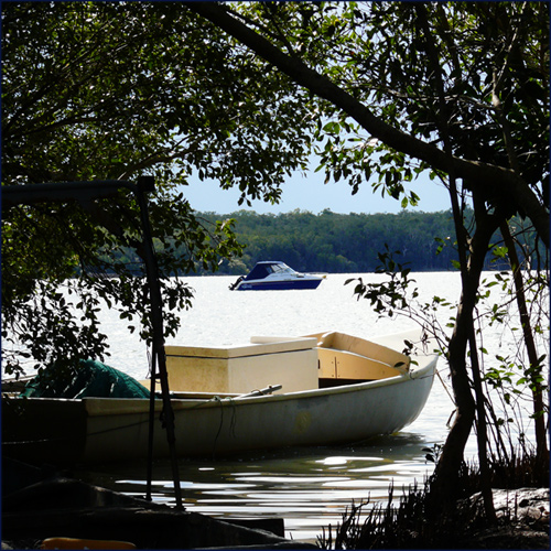 Photographie par dazza17 pour DesignCrowd (Community Contests) | Design #9012077