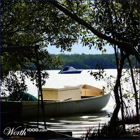 Photography by dazza17