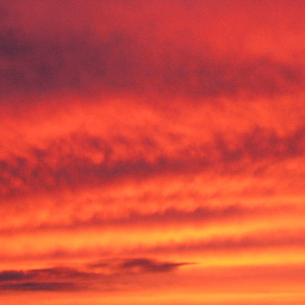 Photography by CraftLord for DesignCrowd (Community Contests) | Design #9012096