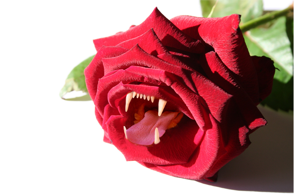 Photoshop Design by bosss1 for DesignCrowd (Community Contests) | Design #9008613