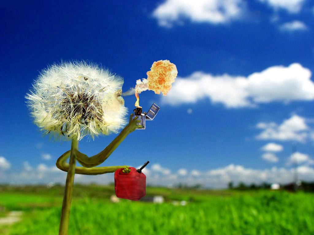 Photoshop Design by Philly8709 for DesignCrowd (Community Contests) | Design #9008626