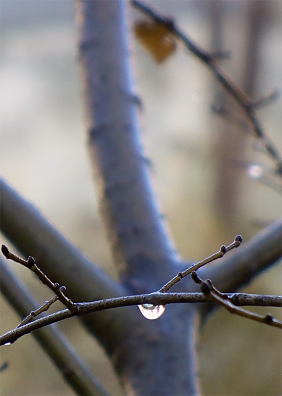 Fotografía por IsleofJura para DesignCrowd (Community Contests) | Diseño #9012111