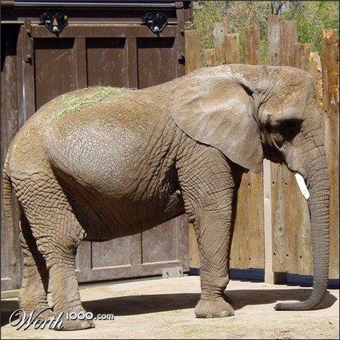 Photography by mysterio