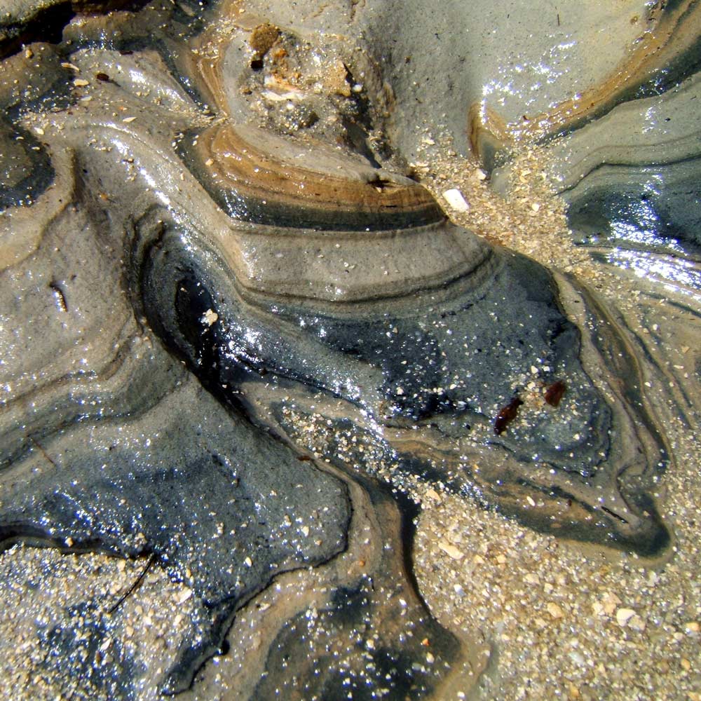 Fotografía por MammaBee para DesignCrowd (Community Contests) | Diseño #9012125