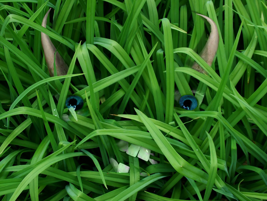 Diseño de Photoshop por Terrence para DesignCrowd (Community Contests) | Diseño #9008578