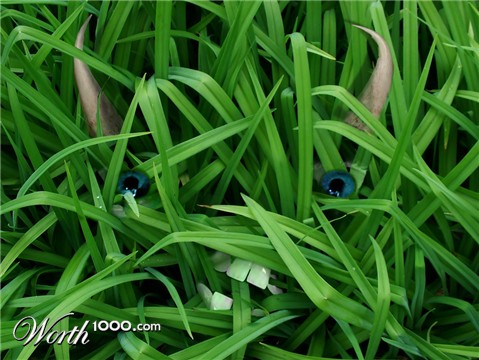 Photoshop Design by Terrence