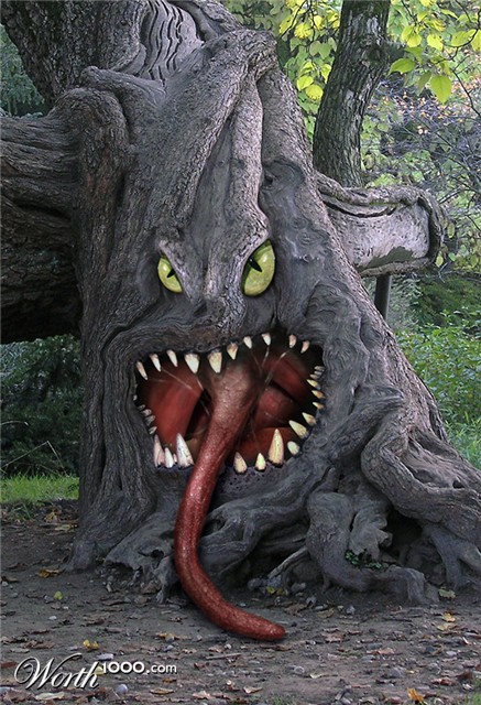 Photoshop Design by renatodornas