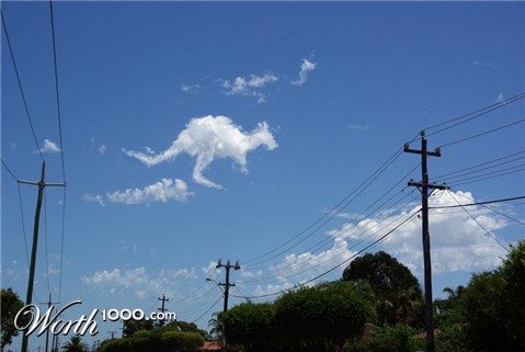 Photoshop Design by peter7793