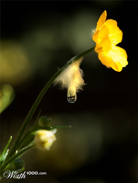 Photography by Marian