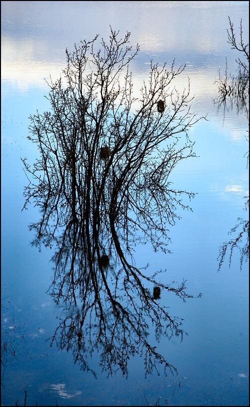 Photography by Juicer for DesignCrowd (Community Contests) | Design #9012046