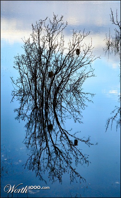 Photography by Juicer