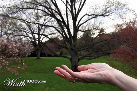 Photography by sculptor999