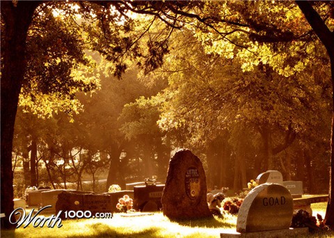 Photography by Suziecuchon