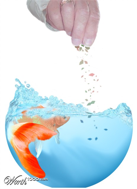 Photoshop Design by PixelDustMT