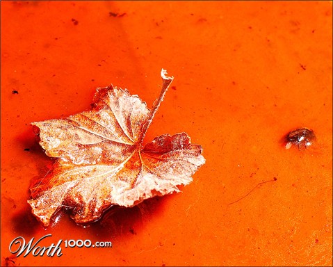 Photography by Tonebarge