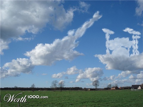 Photoshop Design by snakepitt
