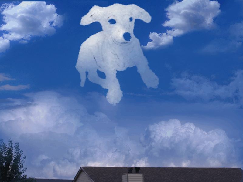 Photoshop-Design von MsgtBob für DesignCrowd (Community Contests) | Design #9011742