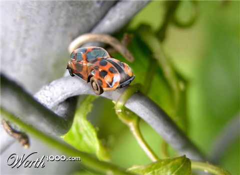 Photoshop Design by 770keren