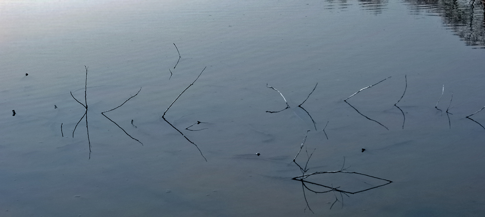 Photography by splong for DesignCrowd (Community Contests) | Design #9011513