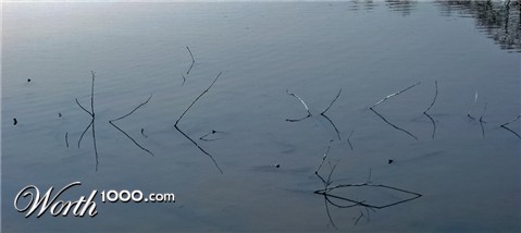 Photography by splong