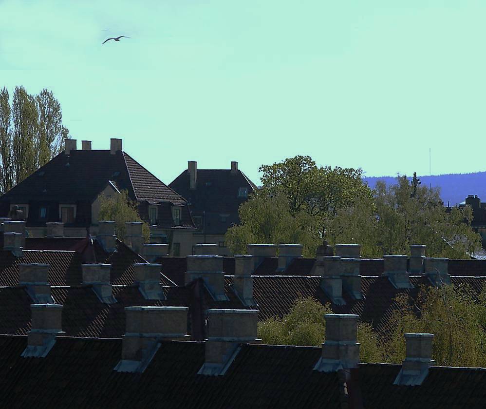 Photographie par Berilu pour DesignCrowd (Community Contests) | Design #9014106