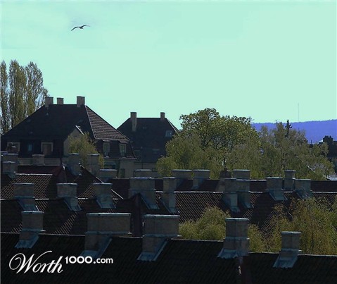 Photography by Berilu