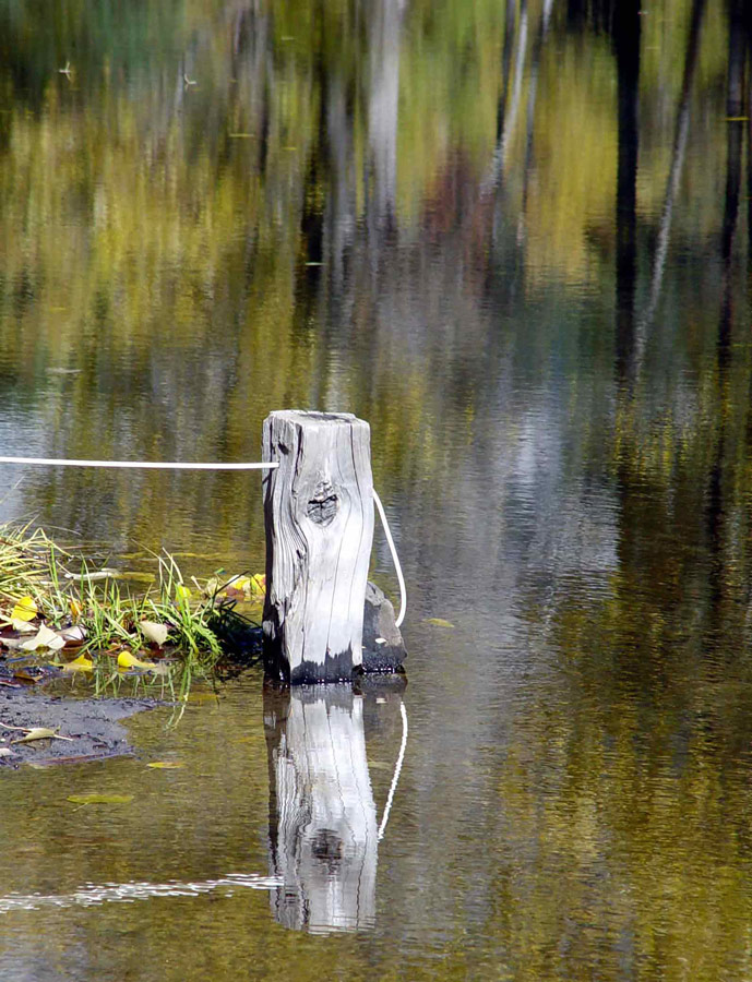 Photography by ljvgtj for DesignCrowd (Community Contests) | Design #9011524