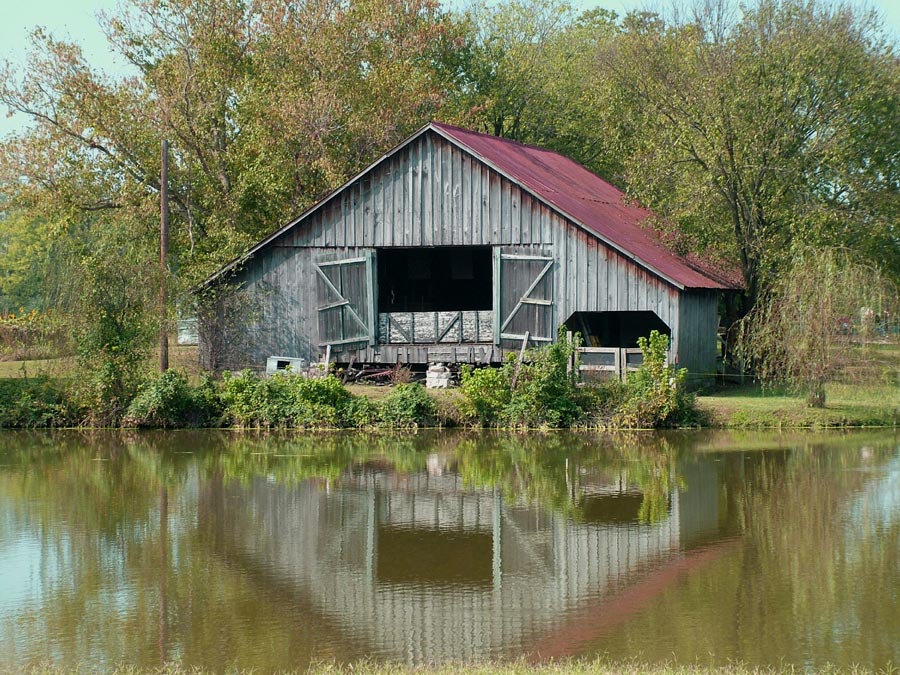 Photography by nedradio for DesignCrowd (Community Contests) | Design #9011522