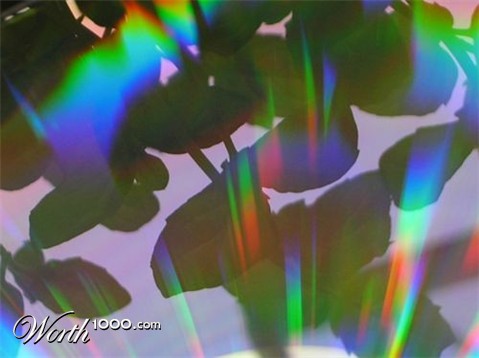 Photography by monkeyface88