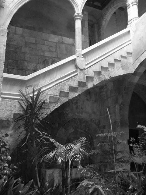 Photographie par monkeyface88 pour DesignCrowd (Community Contests) | Design #9014781