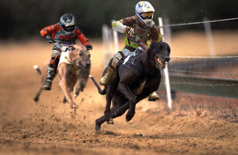 Design Photoshop par SlamJack pour DesignCrowd (Community Contests) | Design #9012743