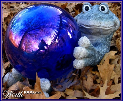 Photography by spincast1123