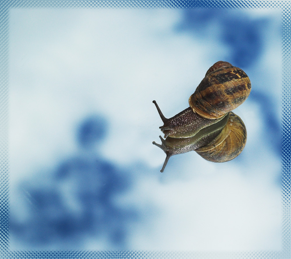 Photography by Redbull_UK for DesignCrowd (Community Contests) | Design #9011593